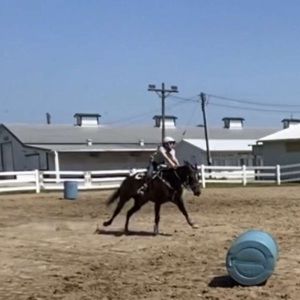 Meet your Posher, Sadie